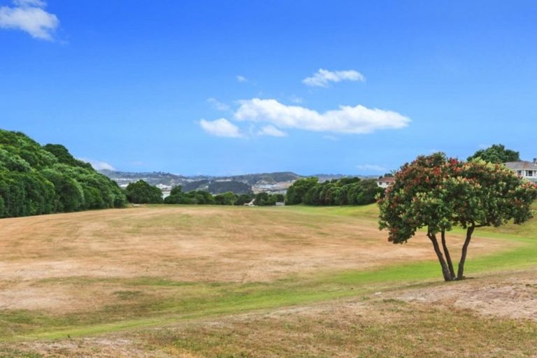Photo of property in 91 Rangituhi Crescent, Takapuwahia, Porirua, 5022