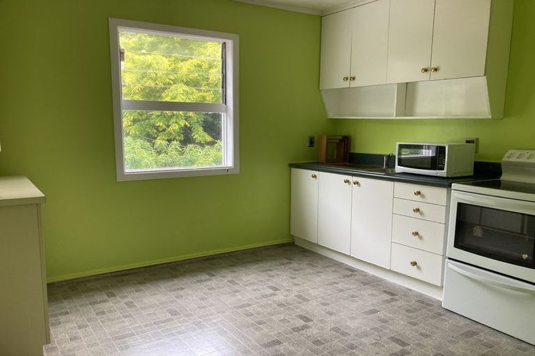 Photo of property in 43 Honiana Te Puni Street, Aro Valley, Wellington, 6021