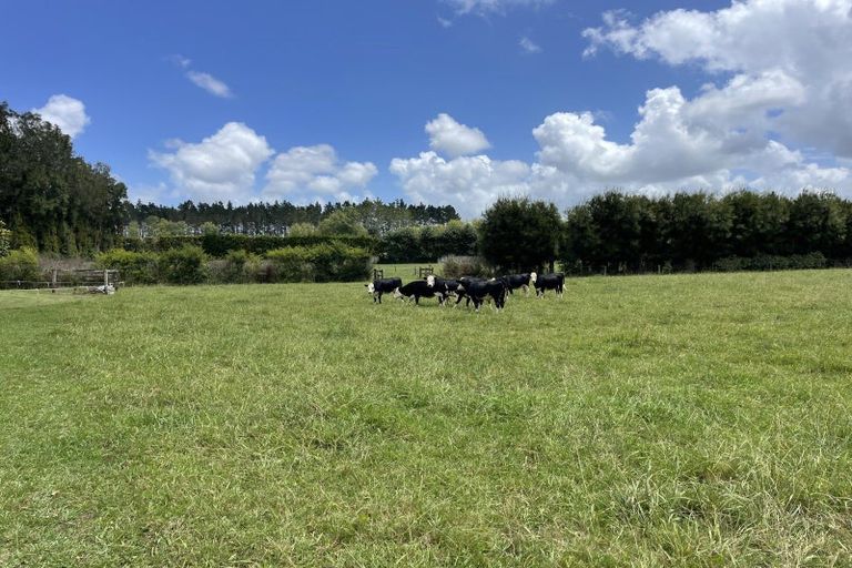 Photo of property in 40 Brookvale Lane, Taupaki, Henderson, 0782