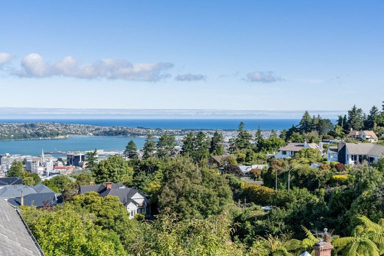 Photo of property in 18 Selkirk Street, Roslyn, Dunedin, 9010