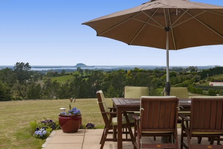 Photo of property in 649f Esdaile Road, Whakamarama, Tauranga, 3180