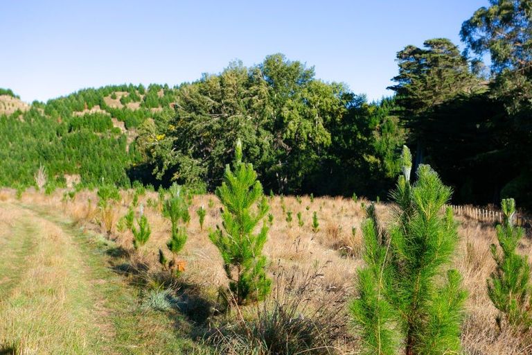 Photo of property in 751 Ongo Road, Hunterville, 4782