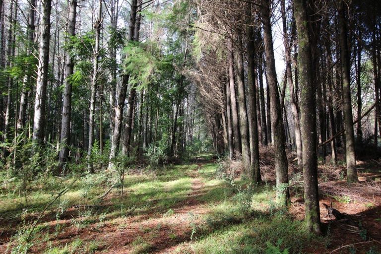 Photo of property in 804 Otangaroa Road, Kaeo, 0479