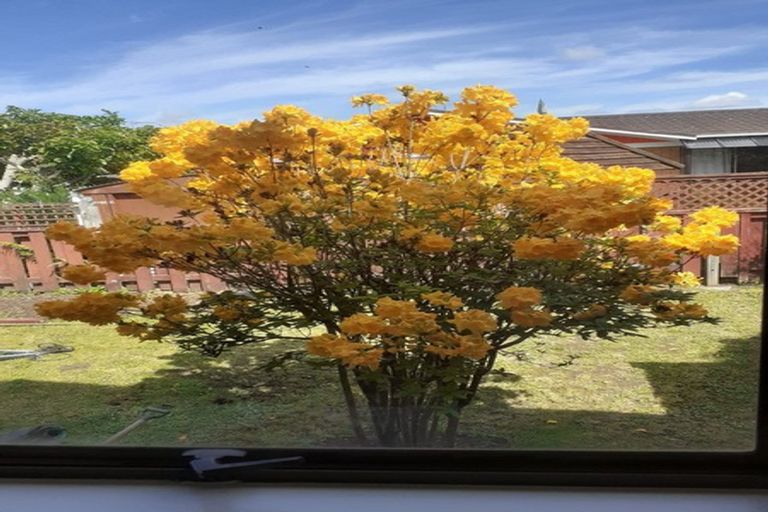 Photo of property in 71b Queen Street, Pukekohe, 2120