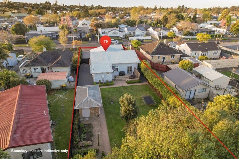 Photo of property in 79 Rimu Street, Maeroa, Hamilton, 3200