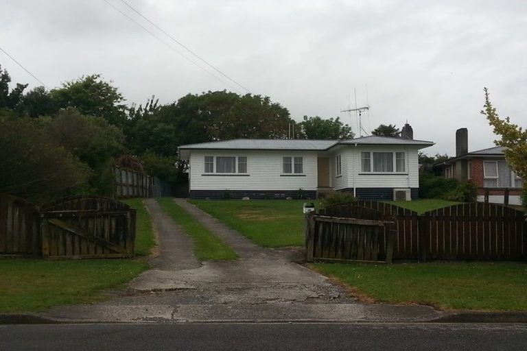Photo of property in 48 Totara Street, Putaruru, 3411