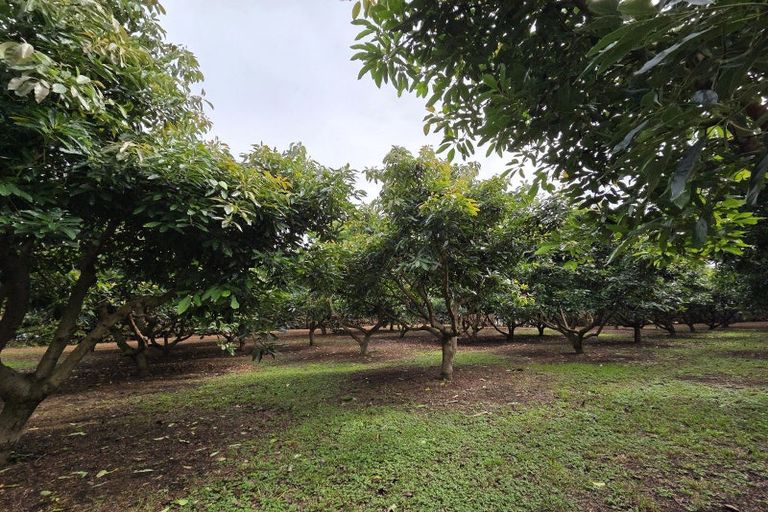 Photo of property in 244 Beach Road, Katikati, 3178