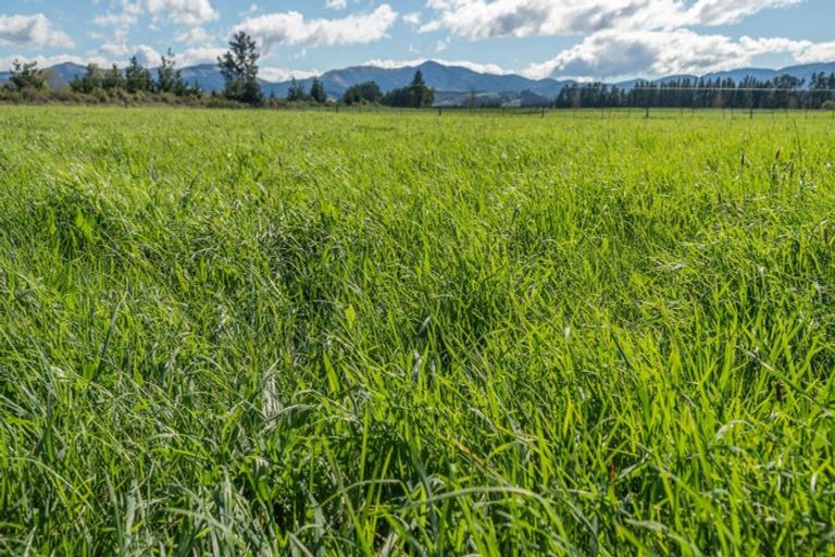 Photo of property in 375 Stonyflat Road, Loburn, Rangiora, 7472