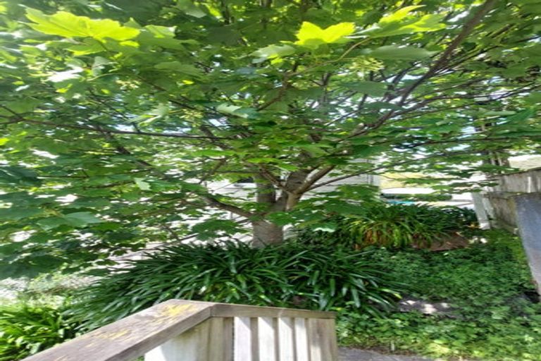 Photo of property in 25 Ohiro Road, Aro Valley, Wellington, 6021