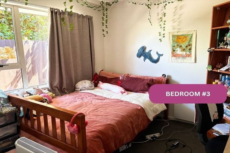 Photo of property in 14a Conway Street, Somerfield, Christchurch, 8024