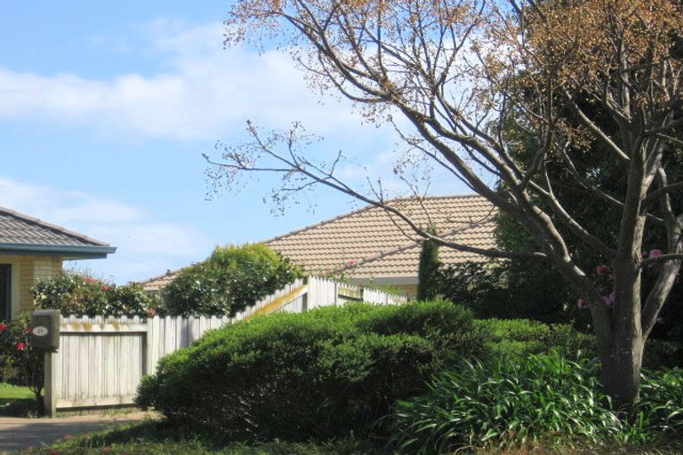 Photo of property in 53 Jasmine Place, Mount Maunganui, 3116