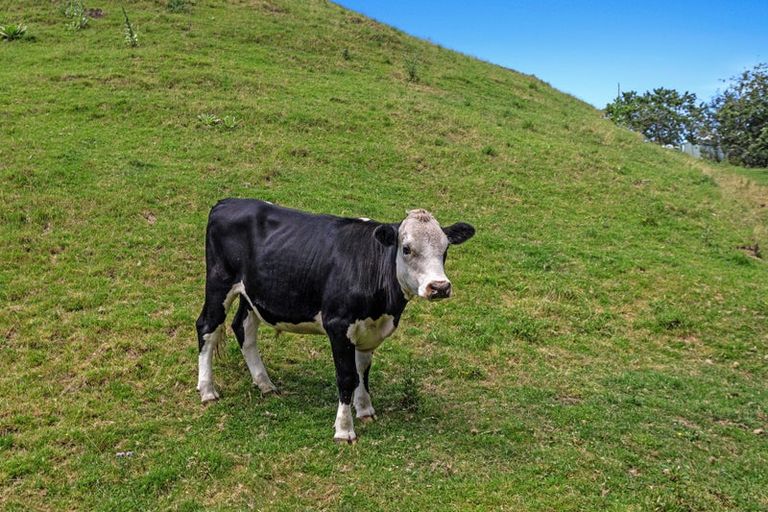 Photo of property in 74b Awanuiarangi Road, Pikowai, Whakatane, 3194