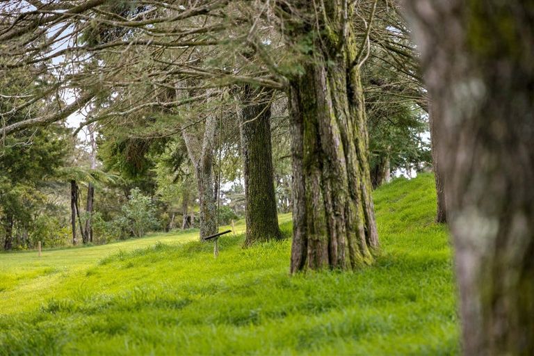 Photo of property in 263 Sunnyside Road, Coatesville, 0793