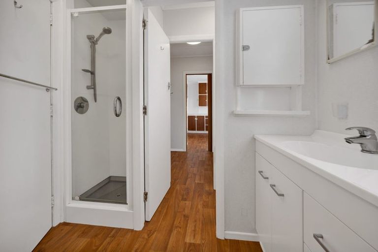 Photo of property in 102 Brecon Road, Stratford, 4332