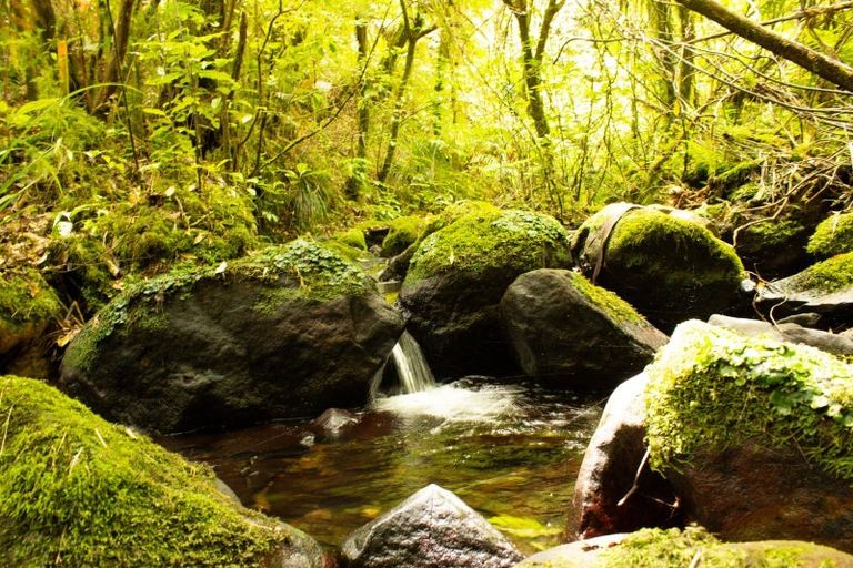 Photo of property in 828 Dover Road, Okato, New Plymouth, 4374