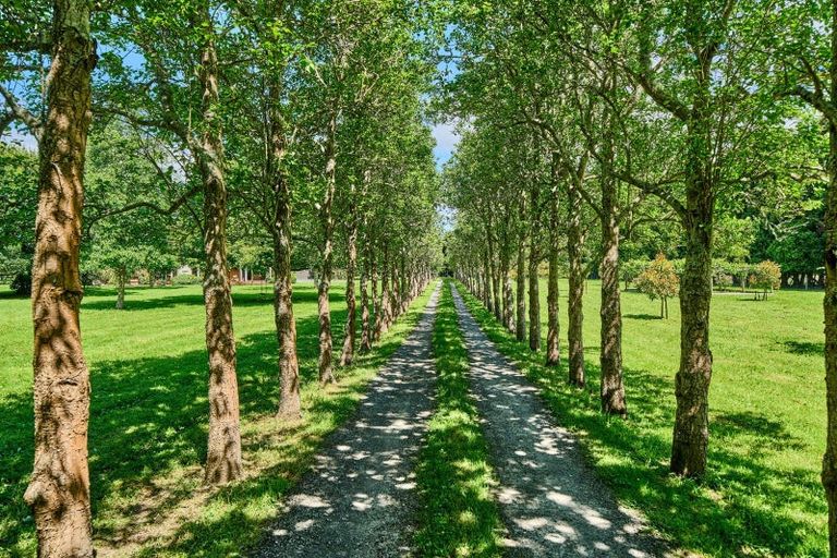 Photo of property in 96 Arcus Road, Te Horo, Otaki, 5582