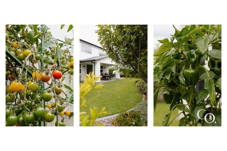 Photo of property in 26 Applin Lane, Pyes Pa, Tauranga, 3112