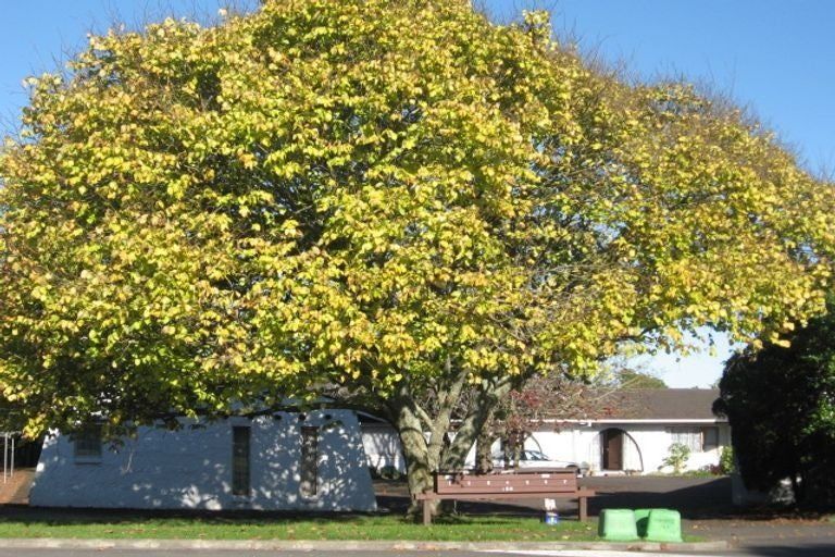 Photo of property in 6/190 Russell Road, Manurewa, Auckland, 2102