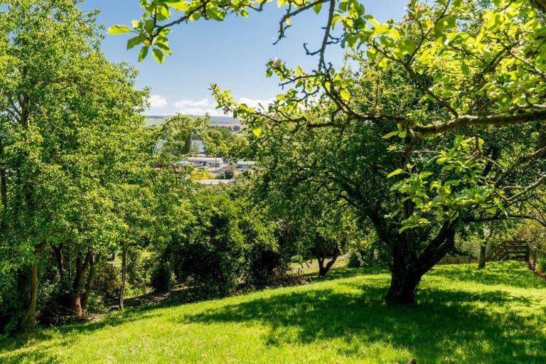 Photo of property in 20 Greenhithe Street, Waihola, Milton, 9073