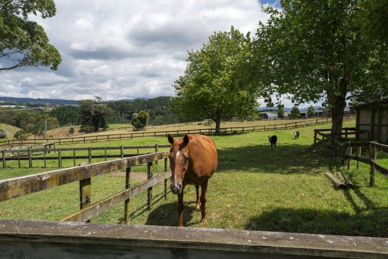 Photo of property in 63c Lowe Road, Whakamarama, Tauranga, 3180