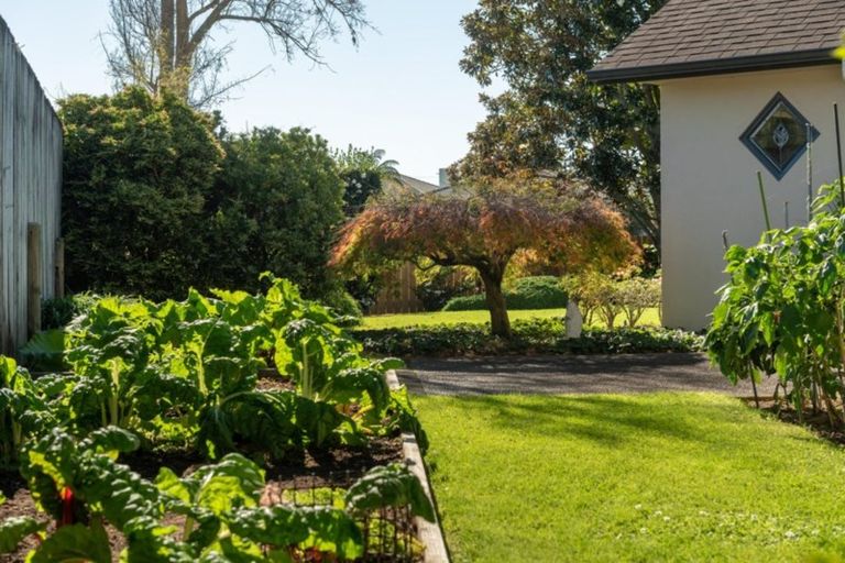 Photo of property in 42 Grantston Drive, Pyes Pa, Tauranga, 3112