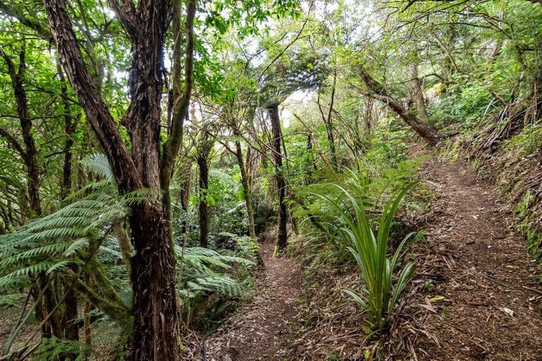 Photo of property in 85 Tukurua Road, Parapara, Takaka, 7182