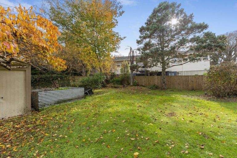 Photo of property in 17 Hobson Street, Levin, 5510