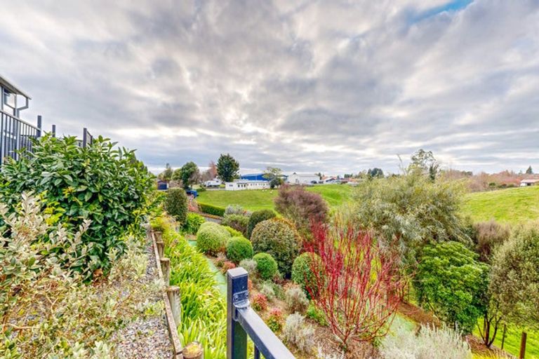 Photo of property in 38 Cambridge Street, Putaruru, 3411