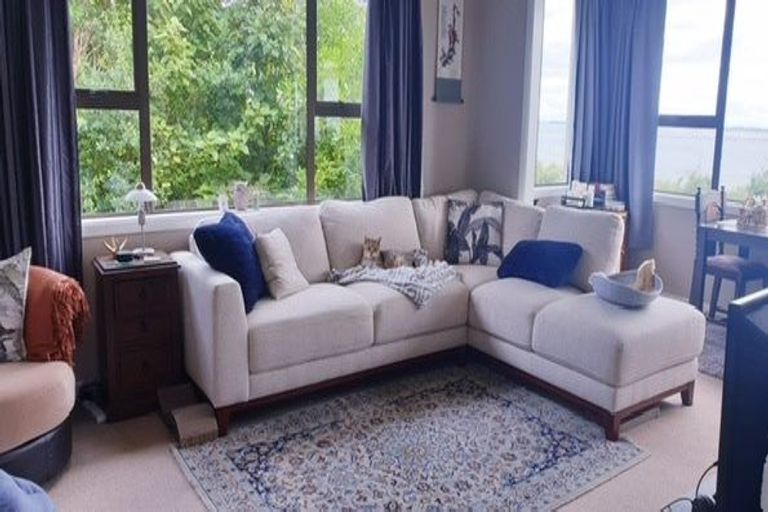 Photo of property in 3 Raymond Street, Bluff, 9814