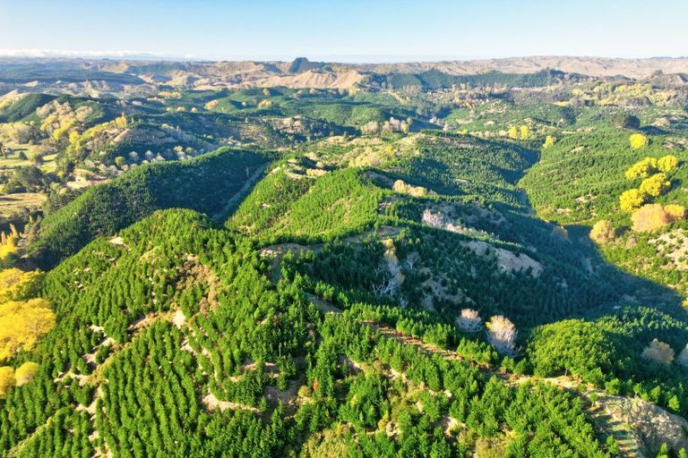 Photo of property in 751 Ongo Road, Hunterville, 4782