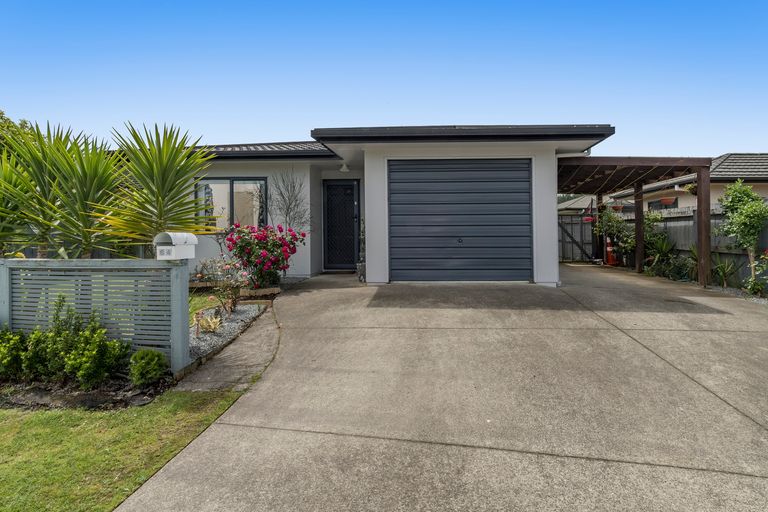 Photo of property in 64 Solomon Street, Brookfield, Tauranga, 3110