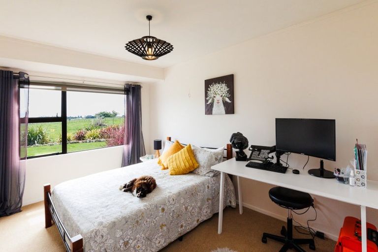 Photo of property in 279 Tararua Road, Levin, 5571