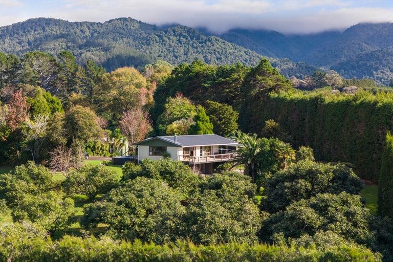 Photo of property in 270 Wharawhara Road, Tahawai, Katikati, 3178