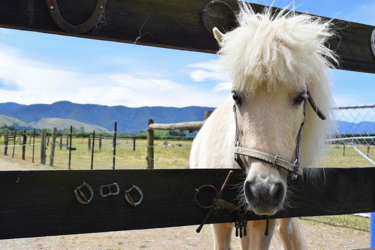 Photo of property in 8 Plachatsh Lane, Oxford, 7430