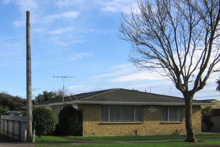 Photo of property in 3/4 Mckenzie Street, Levin, 5510