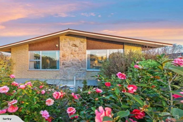 Photo of property in 1/20 Hartford Street, Burnside, Christchurch, 8053