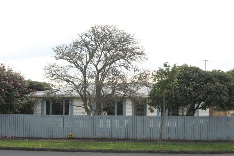 Photo of property in 33 Alfred Street, Fairfield, Hamilton, 3214