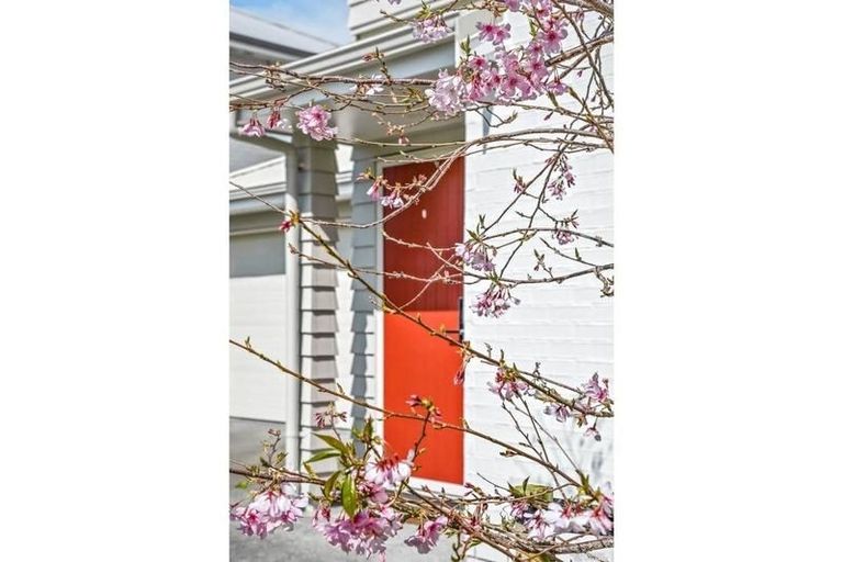 Photo of property in 12 Samuel Cassidy Avenue, Swanson, Auckland, 0614