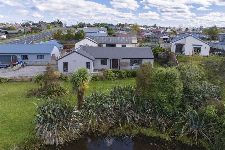 Photo of property in 52 Brymer Road, Grandview Heights, Hamilton, 3200