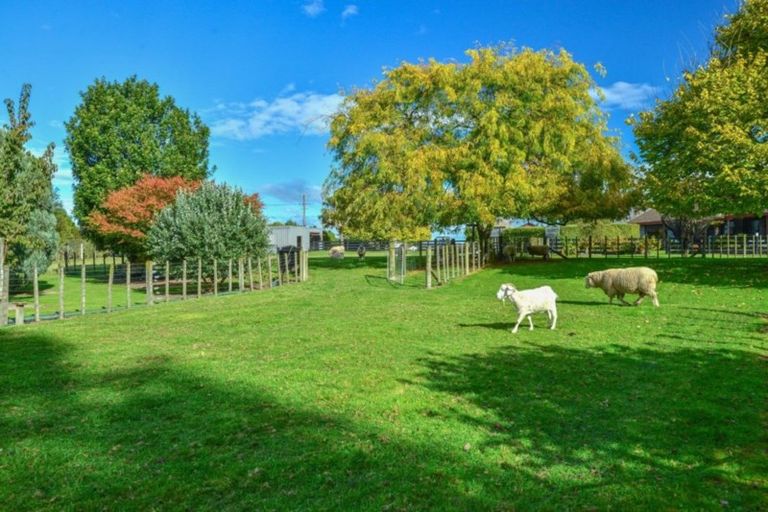 Photo of property in 555 Back Ormond Road, Makauri, Gisborne, 4071