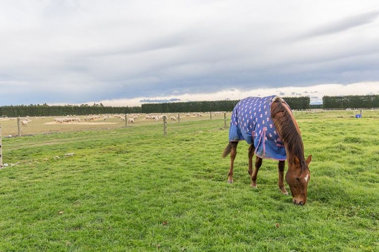 Photo of property in 214 Kivers Road, Burnham, Christchurch, 7677