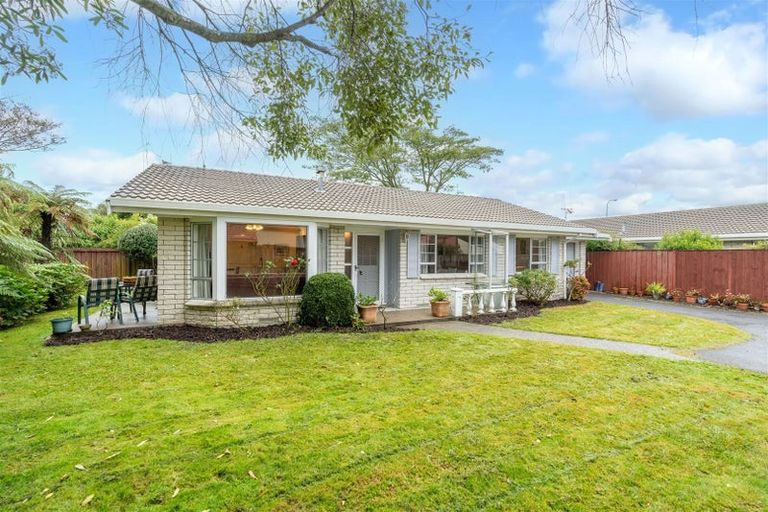 Photo of property in 117b Clarkin Road, Fairfield, Hamilton, 3214
