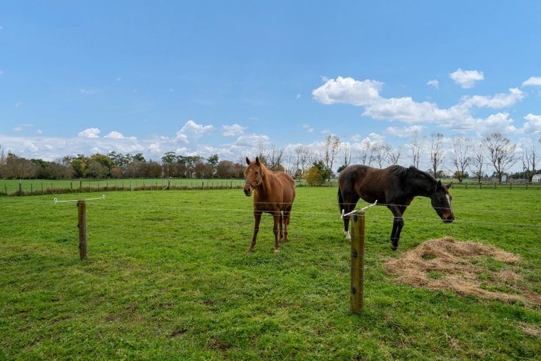 Photo of property in 261 Kaipaki Road, Ohaupo, 3881