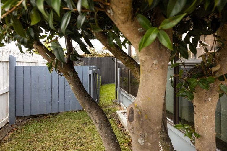 Photo of property in 9 Faulkland Drive, Witherlea, Blenheim, 7201