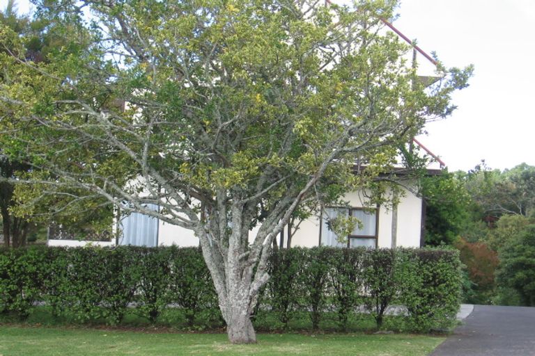 Photo of property in 1/23 Eastglen Road, Glen Eden, Auckland, 0602