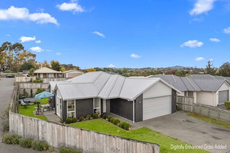 Photo of property in 19 Kirk Lane, Ohauiti, Tauranga, 3112