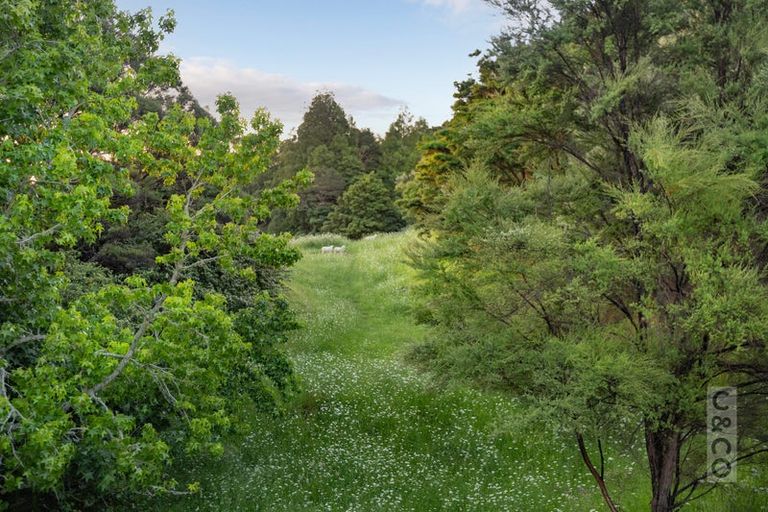 Photo of property in 75 Taylor Road, Waimauku, 0882