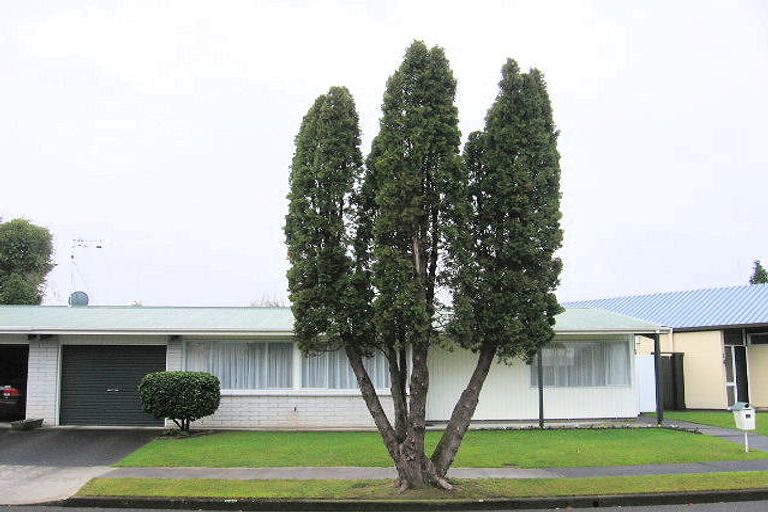 Photo of property in 15 Opawa Place, Terrace End, Palmerston North, 4410