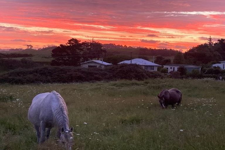 Photo of property in 123 Colville Road, Dargaville, 0377
