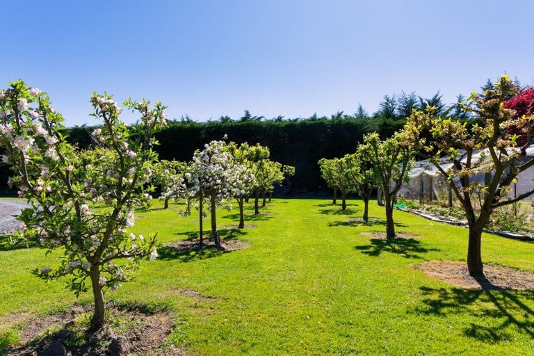 Photo of property in 871 Inland Kaikoura Road, Inland Road, Kaikoura, 7373